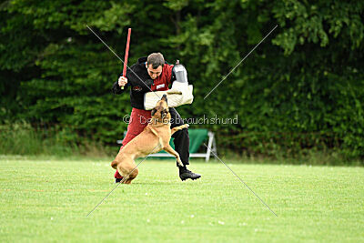 ne pas toucher Amy Winehouse