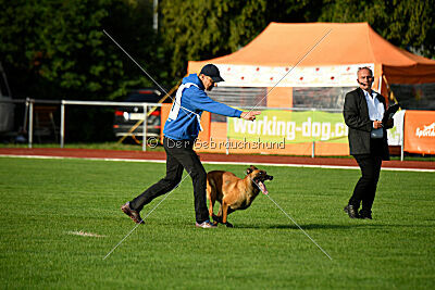working-dog Esh