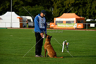 working-dog Esh