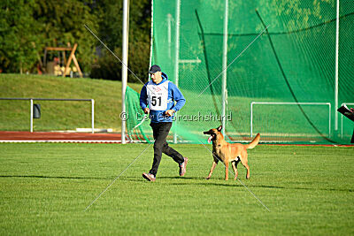 working-dog Esh