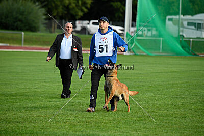working-dog Esh