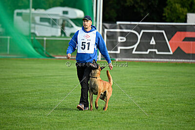 working-dog Esh