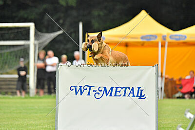 working-dog Gwendolin