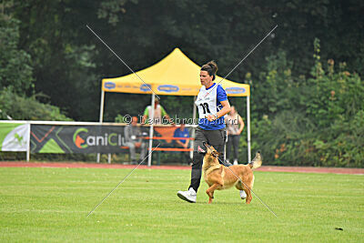 working-dog Gwendolin