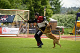 Cave Canem Odin vom Mittelpunkt