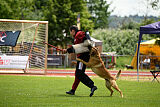 Cave Canem Odin vom Mittelpunkt