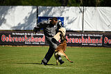 Donar Bestiaras