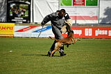 Donar Bestiaras