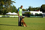 Donar Bestiaras