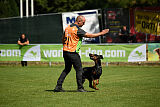 Tribun vom Hellerwald