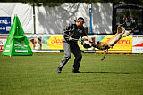 Armstrong Free to Fly