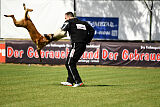 Armstrong Free to Fly