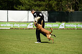 Armstrong Free to Fly