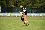 Armstrong Free to Fly