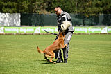 Farun des chiens de travail