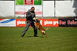Farun des chiens de travail