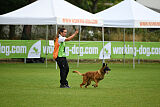 Farun des chiens de travail