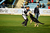 Satoris Scoop