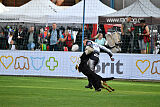 Condor Vikar