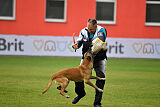 Reunion Constantin Anoubis