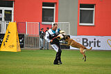 Reunion Constantin Anoubis