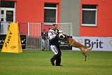 Reunion Constantin Anoubis