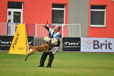 Reunion Constantin Anoubis