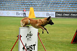 Indy vom Causa Nostre Letitia