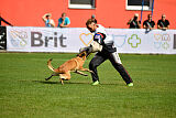 Indy vom Causa Nostre Letitia