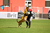 Indy vom Causa Nostre Letitia