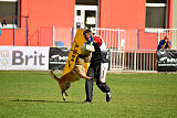Indy vom Causa Nostre Letitia