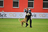 Marax Du Wossel