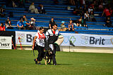 Bali vom Haus Tulpe
