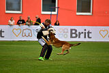 A'Tom Canis Aemona