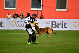 A'Tom Canis Aemona