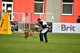 A'Tom Canis Aemona