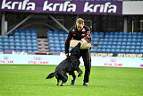 Wilckens Aron