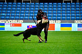 Wilckens Aron