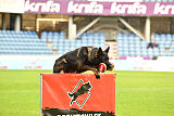 Aman von Clonburg