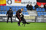 T-Lothar vom Hause Meraner