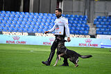 Leo de Jardines del Real