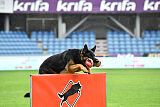 Alvar vom special Highlight