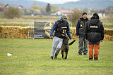 One Shot des Soldats de Krist Ale