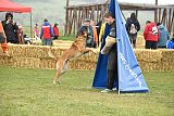 Win vom Further Moor