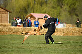 Debby Lobo Grande