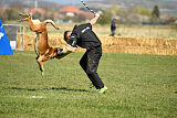 Bullet Mapet