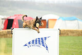 Patriot van de Berlex-Hoeve