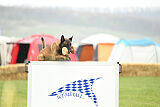Patriot van de Berlex-Hoeve