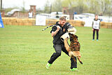 Storm Marinchuk K-9