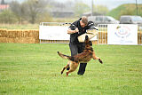 Storm Marinchuk K-9